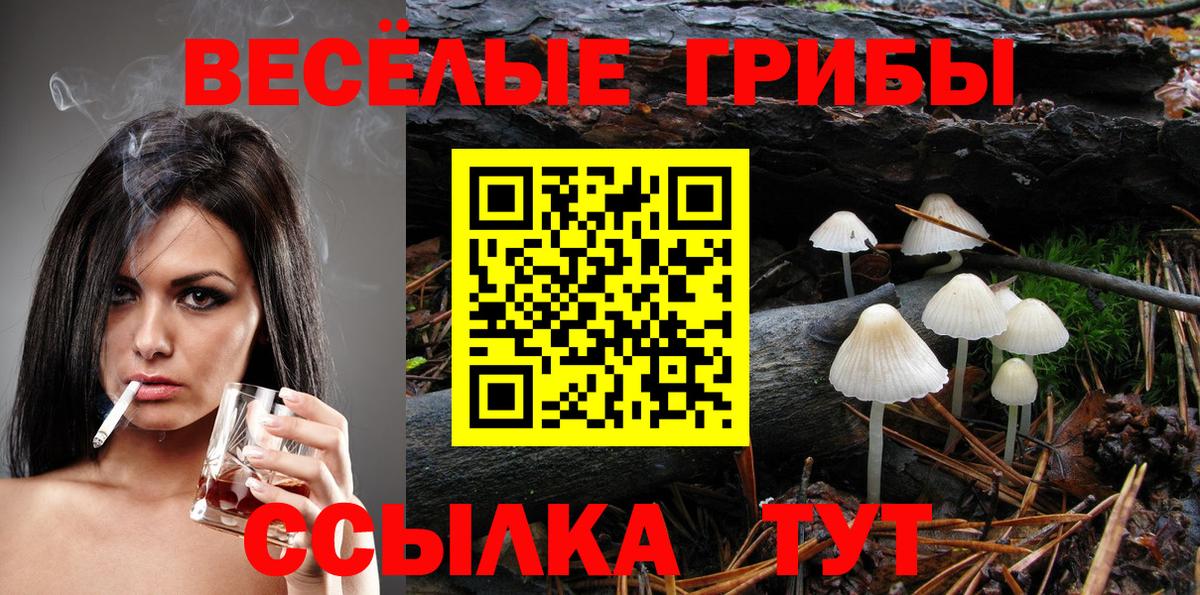 Alpha-PVP СК   Моршанск  МЕФ кристаллы  Вход с VPN  Марихуана  КОКАИН 