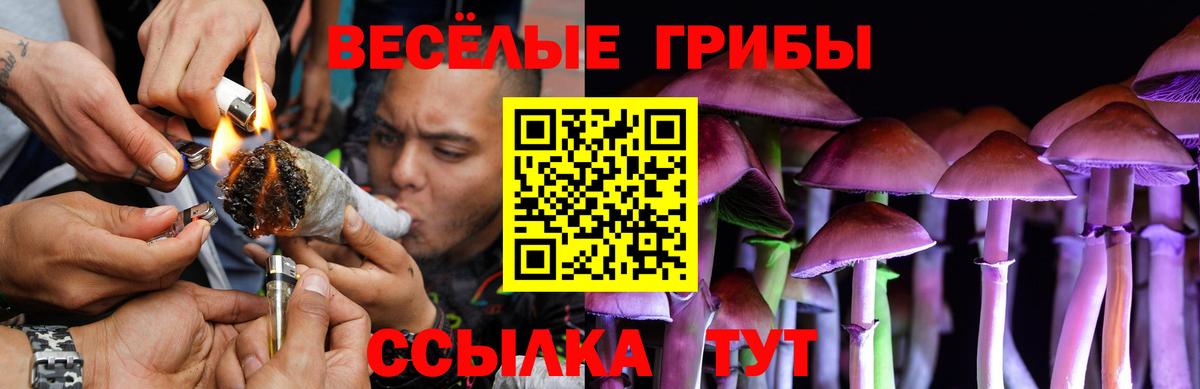 Моршанск  Галлюциногенные грибы MAGIC MUSHROOMS  как найти наркотики  Вход с VPN 